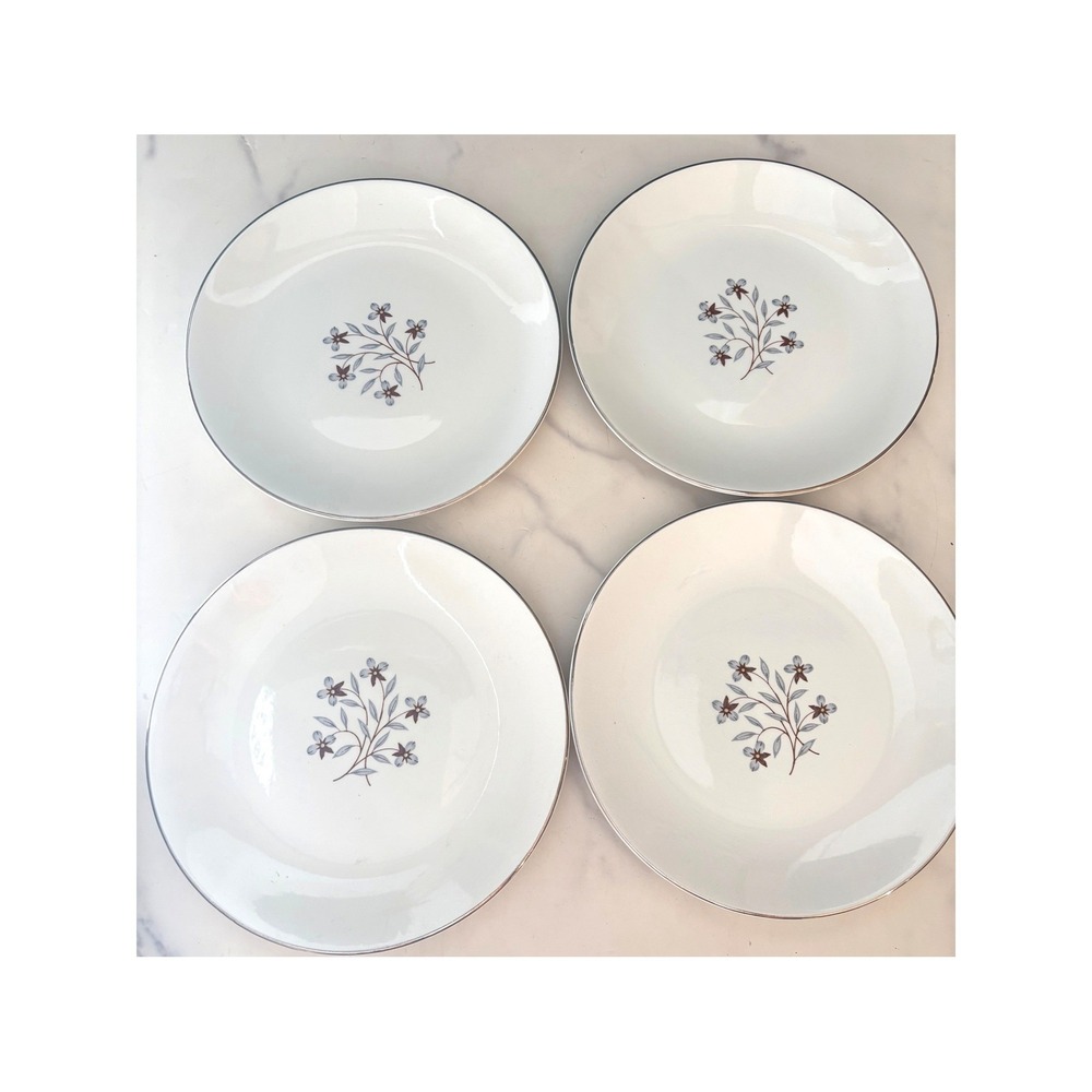 Salem England Whimsey International Ironstone Plates Set of 4 Floral Blue Brown